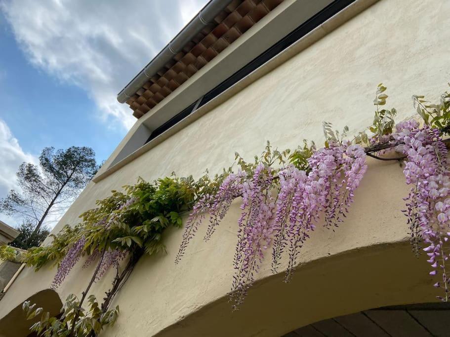 Lis Estello - Gite A Flayosc Var Exterior photo